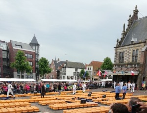 crowded alkmaar cheese market